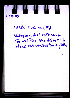 Wolfgang died last week. Too bad for the driver: a black cat crossed their path.